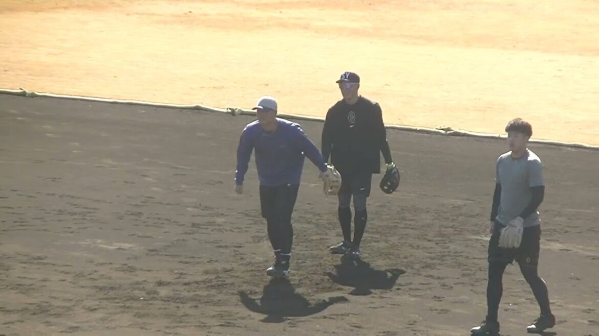 ジャイアンツ自主トレ ノックを受ける増田陸や石塚裕惺 など2025年1月29日 ジャイアンツ球場