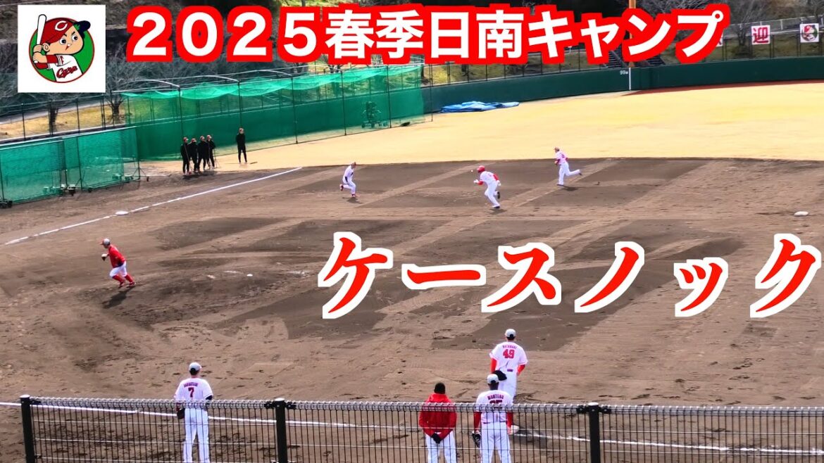 ケースノック【２０２５広島東洋カープ日南春季キャンプ】