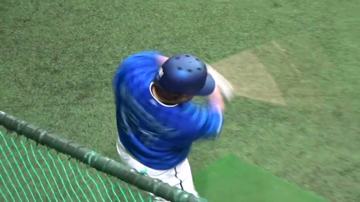 2025年2月 横浜DeNA春季キャンプ・奄美B班 宮﨑 敏郎選手・伊藤 光 選手の打撃練習