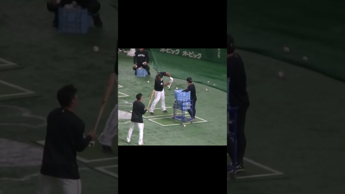 【ティーバッティング】ロッテ 愛斗のスイング（2024年6月6日 読売ジャイアンツ対 千葉ロッテマリーンズ）