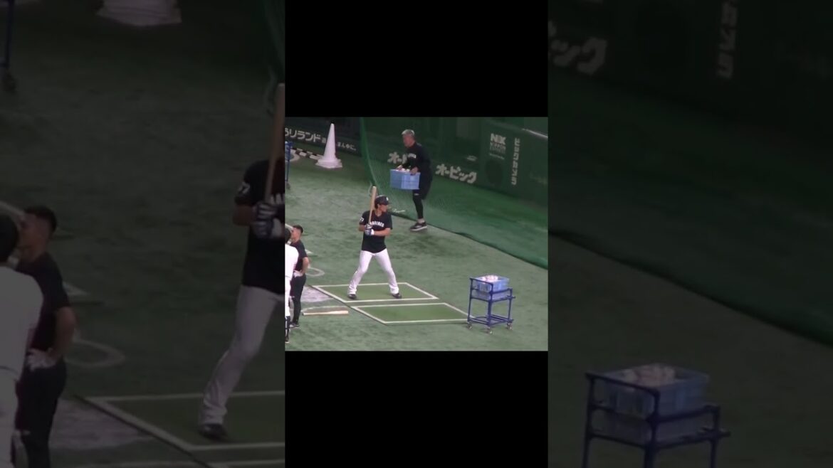 【トスバッティング】ロッテ 茶谷健太のスイング（2024年6月6日 読売ジャイアンツ対 千葉ロッテマリーンズ）