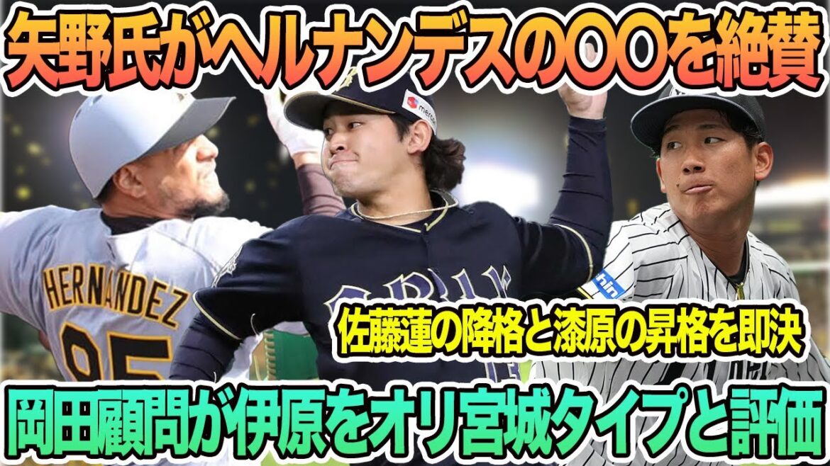 【矢野燿大氏がヘルナンデスの〇〇を絶賛】岡田顧問がドラ1伊原をオリ宮城タイプと評価、佐藤蓮の降格と漆原の昇格を即決　阪神タイガース　阪神　藤川監督　岡田前監督　アルナエス　　　春季キャンプ