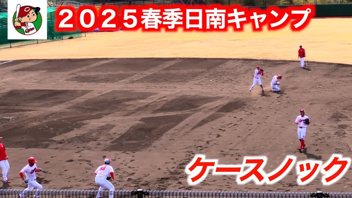 ケースノック②【２０２５広島東洋カープ日南春季キャンプ】