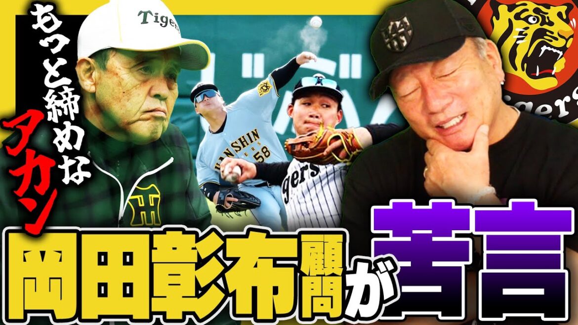 【阪神春季キャンプ】岡田彰布顧問がシートノックでの内外野の連係に苦言「言っている事は分かるんだけど…」高木豊が考える"カットマン"の重要性とは⁉︎