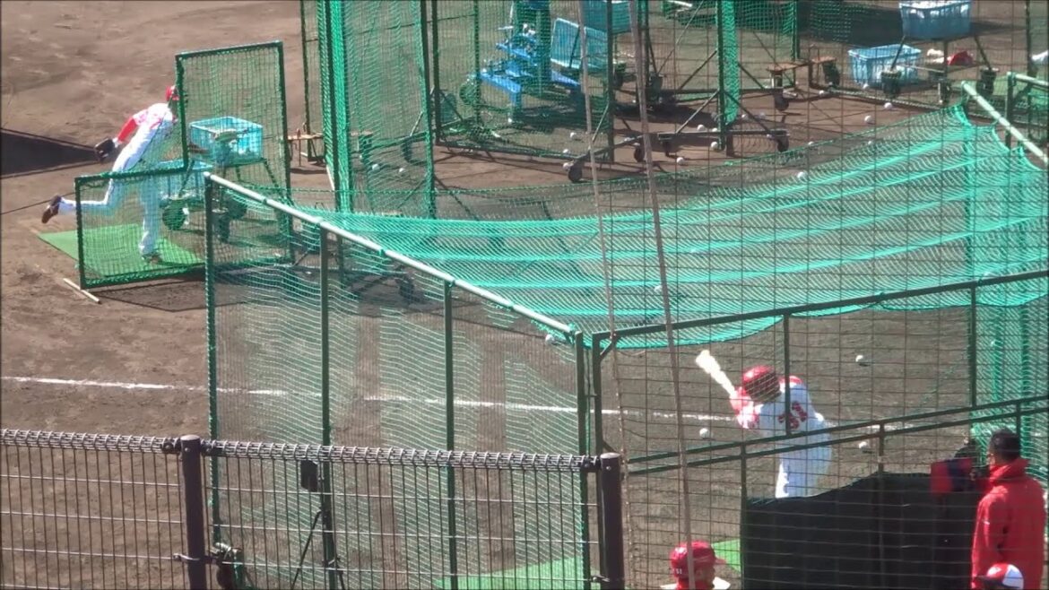 坂倉将吾、フリーバッティング（2025.02.08）～広島カープ春季日南キャンプ～
