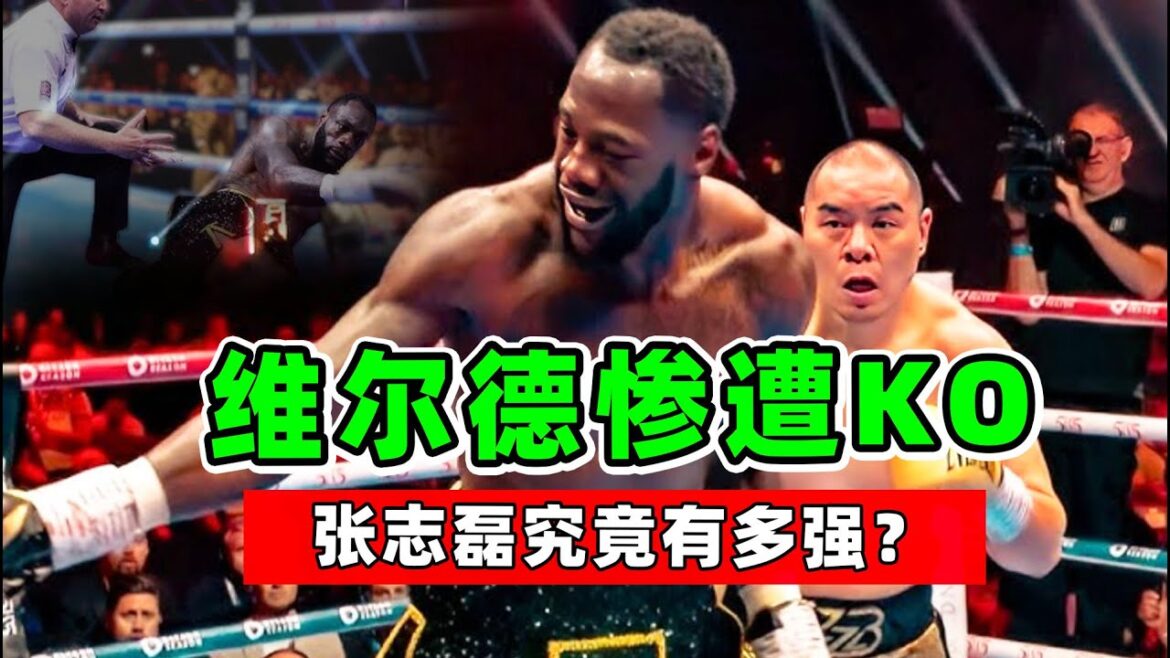 拳坛KO机器维尔德，被河南大汉完虐，张志磊究竟有多强？【拳击比赛】张志磊VS维尔德