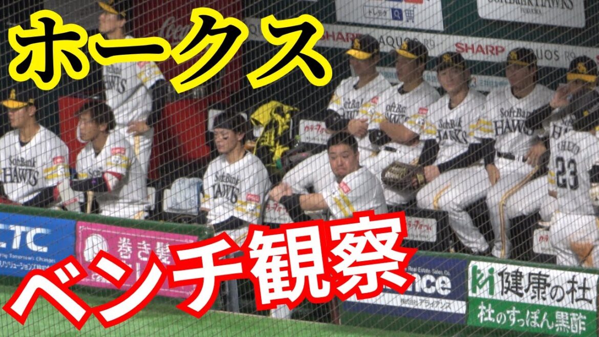 福岡ソフトバンクホークス【ベンチ観察】プロ野球パ・リーグ