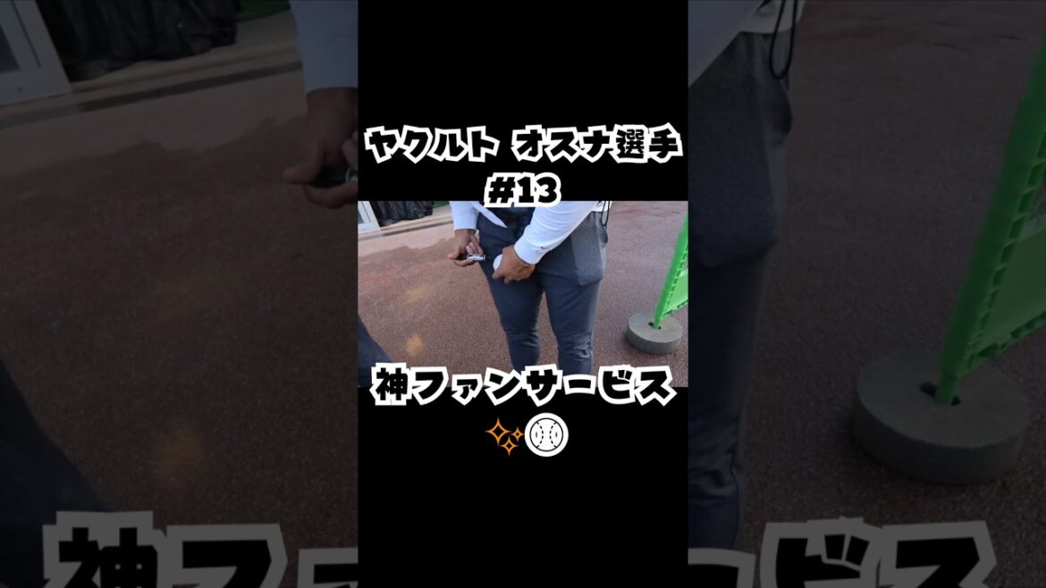 ヤクルト オスナ選手がサインしてくれました！✨ありがとうございます⚾ #shorts #野球 #swallows #スワローズ #サイン会 #ファンサービス #神対応 #baseball