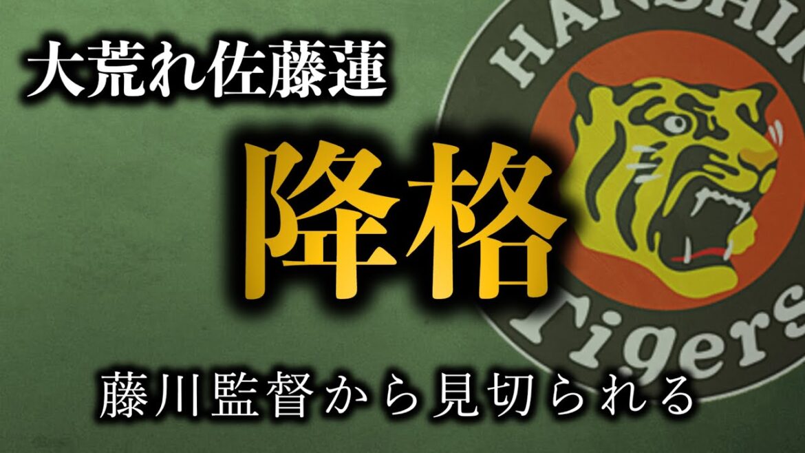藤川監督が有言実行で大荒れ佐藤蓮を即日降格させました【阪神タイガース】