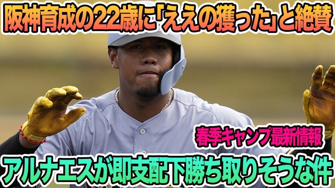 【阪神育成22歳に「ええの獲った」と絶賛の嵐アルナエスが即支配下勝ち取りそうな件について　阪神タイガース　阪神　藤川監督　岡田前監督　アルナエス　　　春季キャンプ