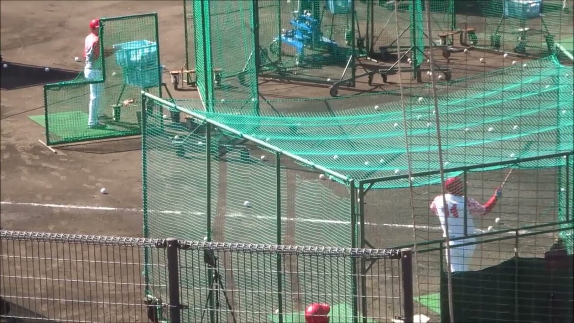 林晃汰、フリーバッティング（2025.02.08）～広島カープ春季日南キャンプ～