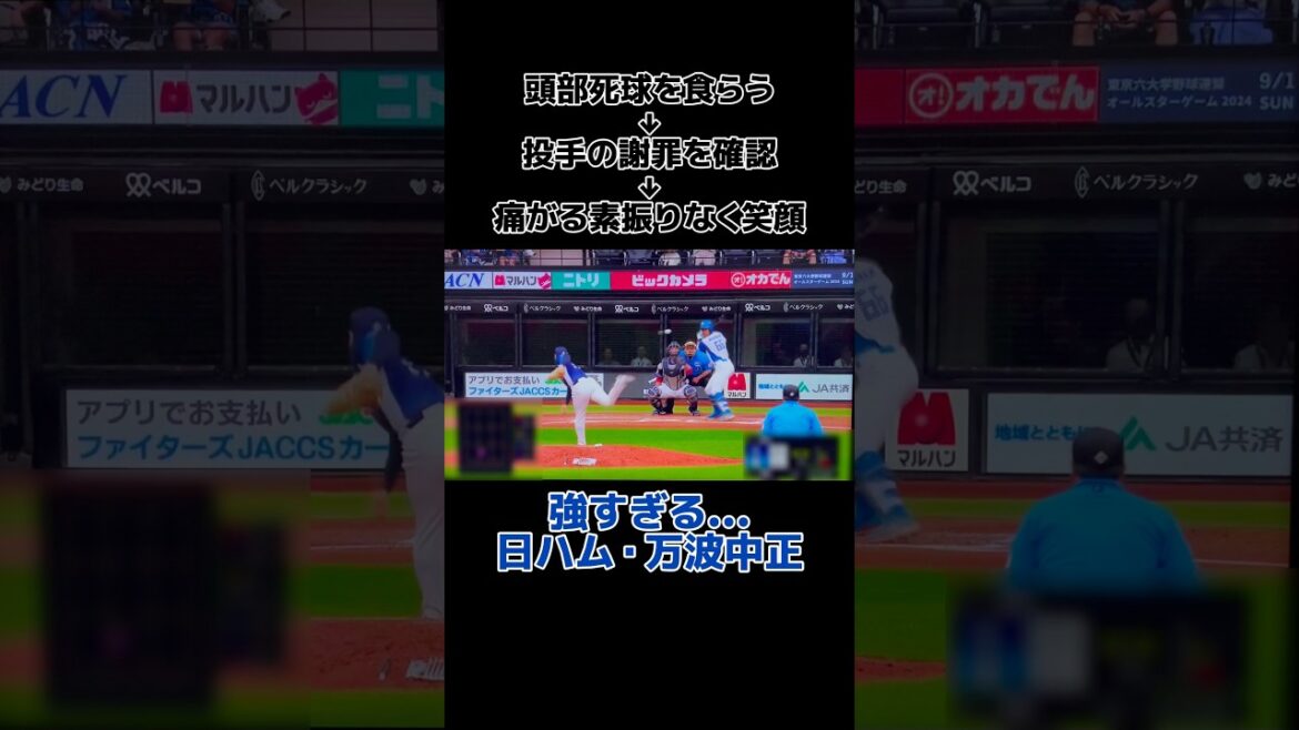 万波が頭部死球を受ける