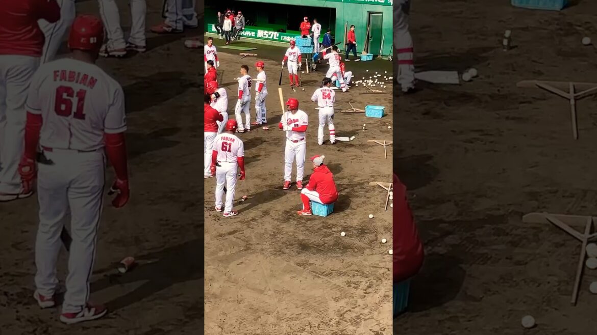 新外国人 コルデロ選手の置きティー#カープ #日南キャンプ #新外国人