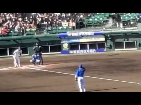 20240302 ▲ 川瀬晃 第1打席の登場曲【「揺れる想い」/ZARD】 6回ウラ 福岡ソフトバンクホークス@北九州市民球場・外野レフト オープン戦 20240302 ▲ 川瀬晃 第1打席の登場曲【「揺れる想い」/ZARD】 6回ウラ 福岡ソフトバンクホークス@北九州市民球場・外野レフト オープン戦