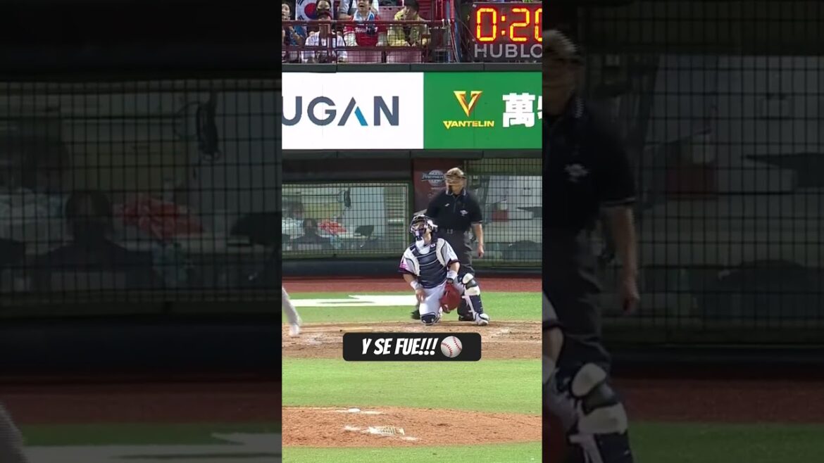 Arismendy Alcántara jonrón #pelotainvernal #dominicanrepublic #pelota #baseball #pelotadominicana