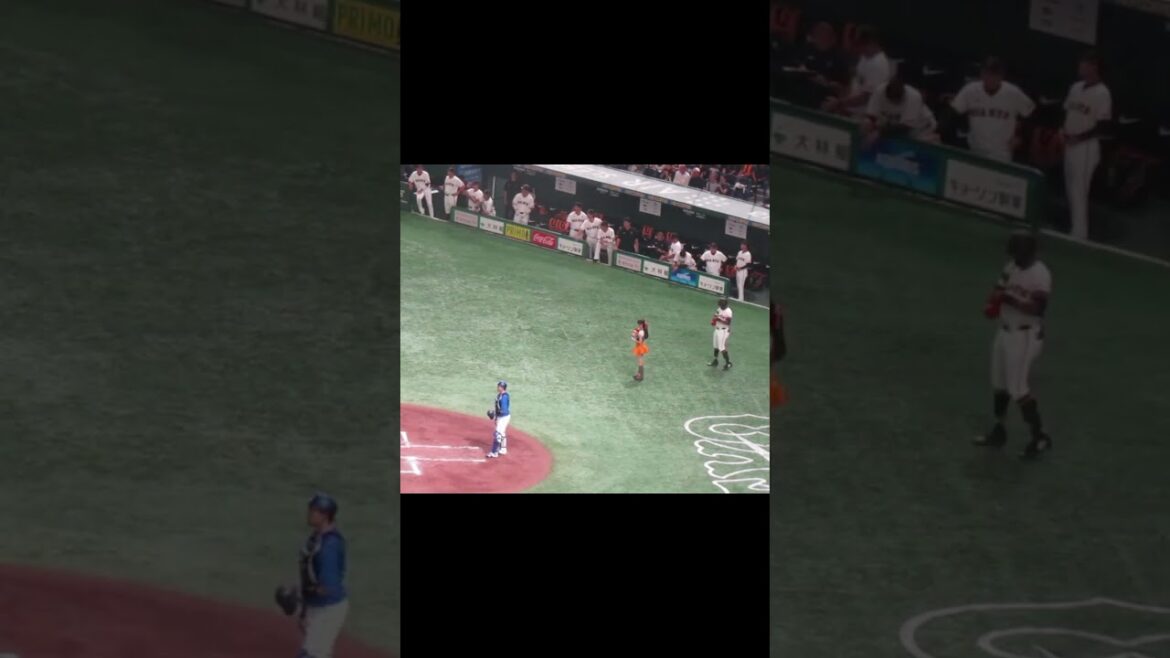 【ジャイアンツベンチ】吉川尚輝 確信ホームラン 仲良し岡本和真 真っ先にガッツポーズ（ 読売ジャイアンツ対横浜DeNAベイスターズ 2024年7月13日）