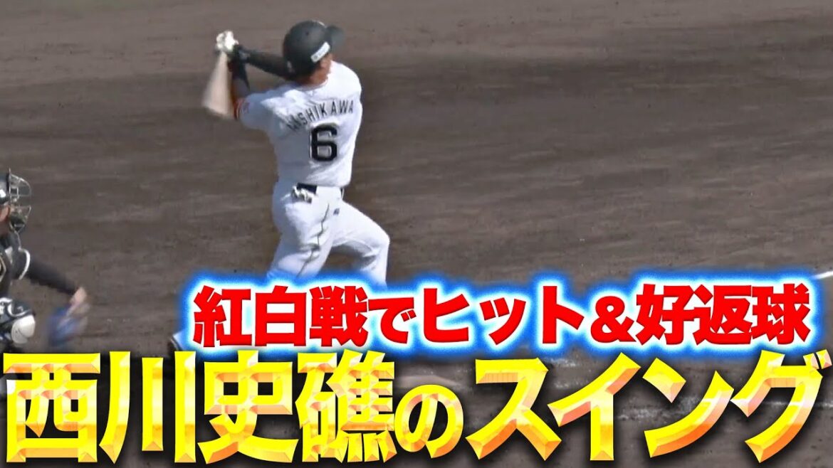 【肩の強さも】西川史礁『紅白戦で存在感…力強いスイングでヒット＆好返球』