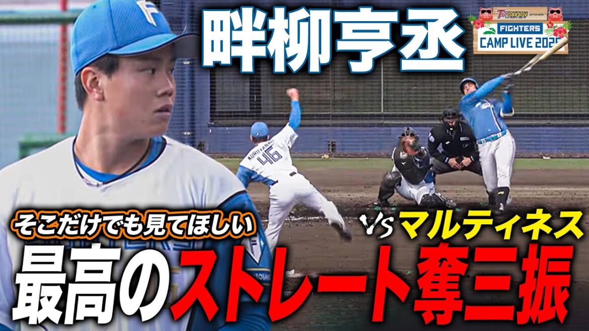 【真っ向勝負】畔柳亨丞 抜群のストレートでマルティネスから奪三振 紅白戦1回無失点で抜群のアピール＜2/8ファイターズ春季キャンプ2025＞