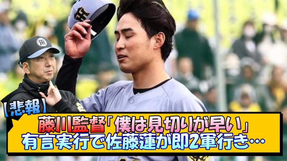 【悲報】阪神・藤川監督「僕は見切りが早い」有言実行で佐藤蓮が即2軍行き…【なんJ/2ch/5ch/ネット 反応 まとめ/阪神タイガース/藤川球児】