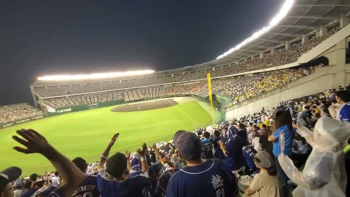 20240625　正捕手を狙う【加藤匠馬 応援歌】　7回表　中日ﾄﾞﾗｺﾞﾝｽﾞ@岡山･倉敷ﾏｽｶｯﾄｽﾀｼﾞｱﾑ 外野ﾚﾌﾄ