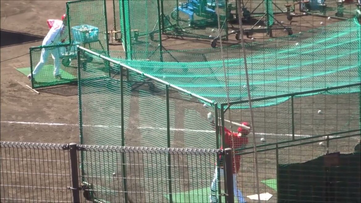 中村奨成、フリーバッティング（2025.02.08）～広島カープ春季日南キャンプ～