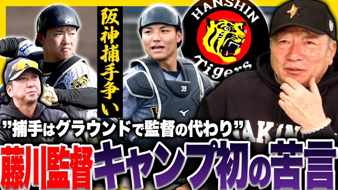 【阪神捕手争い】藤川監督が若手捕手に喝‼︎高木「今出てこなければ厳しくなる…」阪神捕手争いについて語ります！【プロ野球】