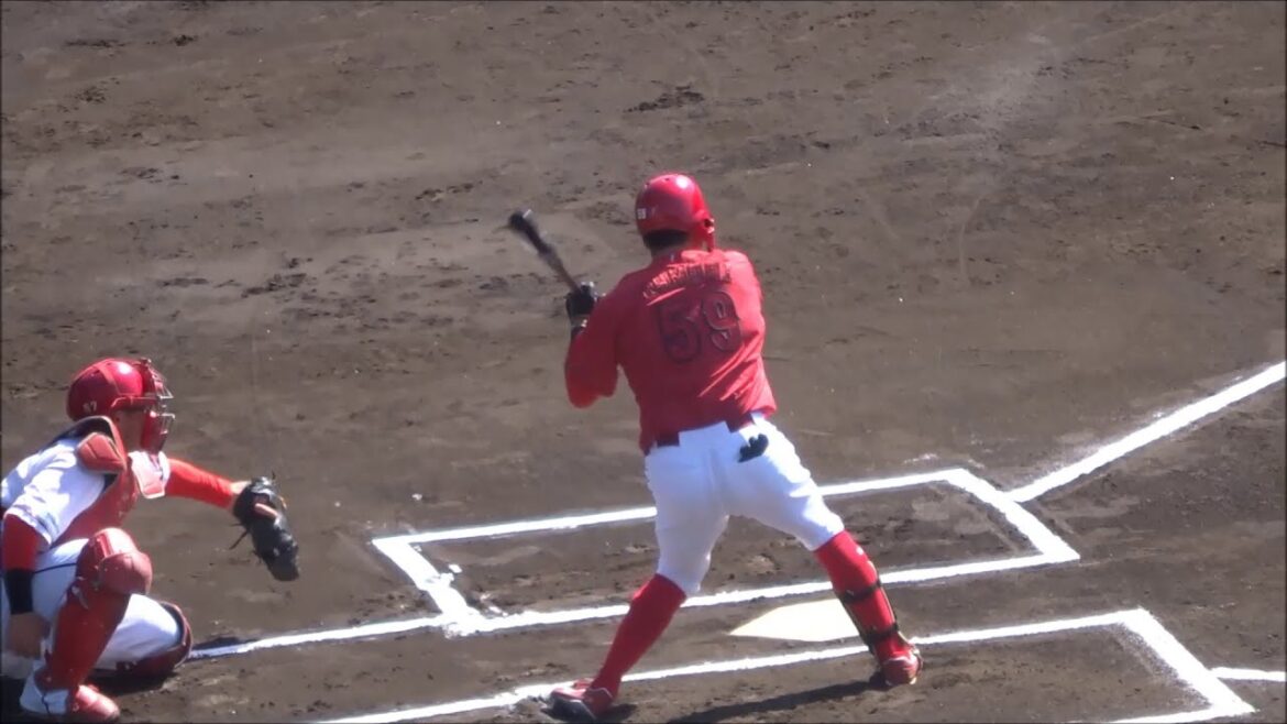 大盛穂選手の紅白戦での4打席、キャッチャーの構えたミットに投手のボールが来るかも注目