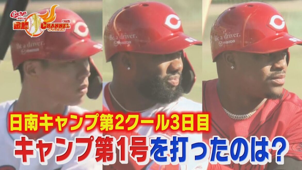 【日南キャンプ第２Ｃ３日目】キャンプ第１号弾は誰だ⁉【カープ公認】金鯉チャンネル /広テレ！