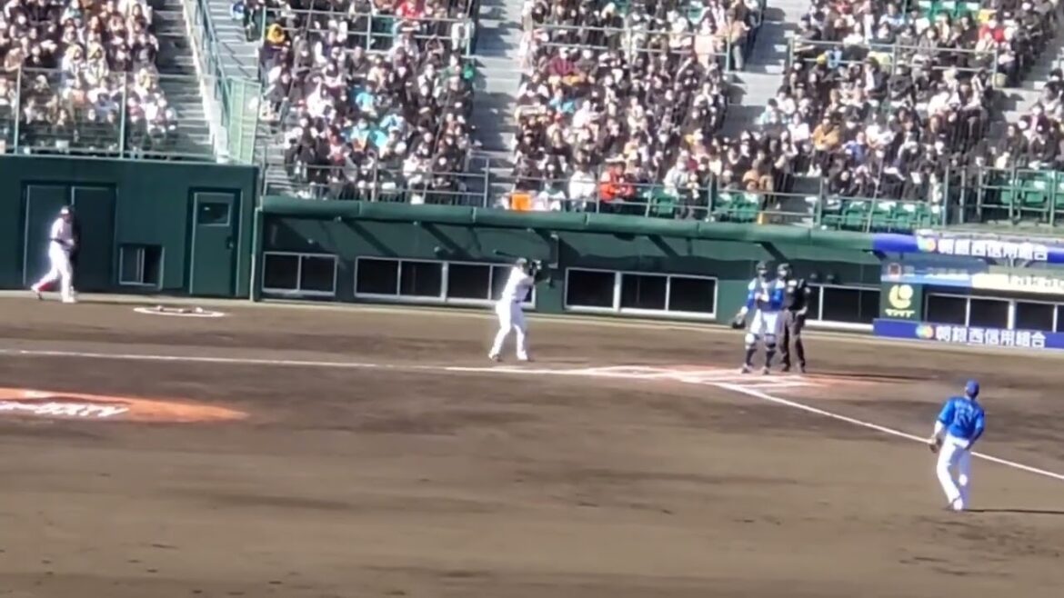 20240302 柳町達 第2打席の登場曲【「花唄」/GReeeeN】 6回ウラ 福岡ソフトバンクホークス ギーマ@北九州市民球場・外野レフト オープン戦 20240302 柳町達 第2打席の登場曲【「花唄」/GReeeeN】 6回ウラ 福岡ソフトバンクホークス ギーマ@北九州市民球場・外野レフト オープン戦