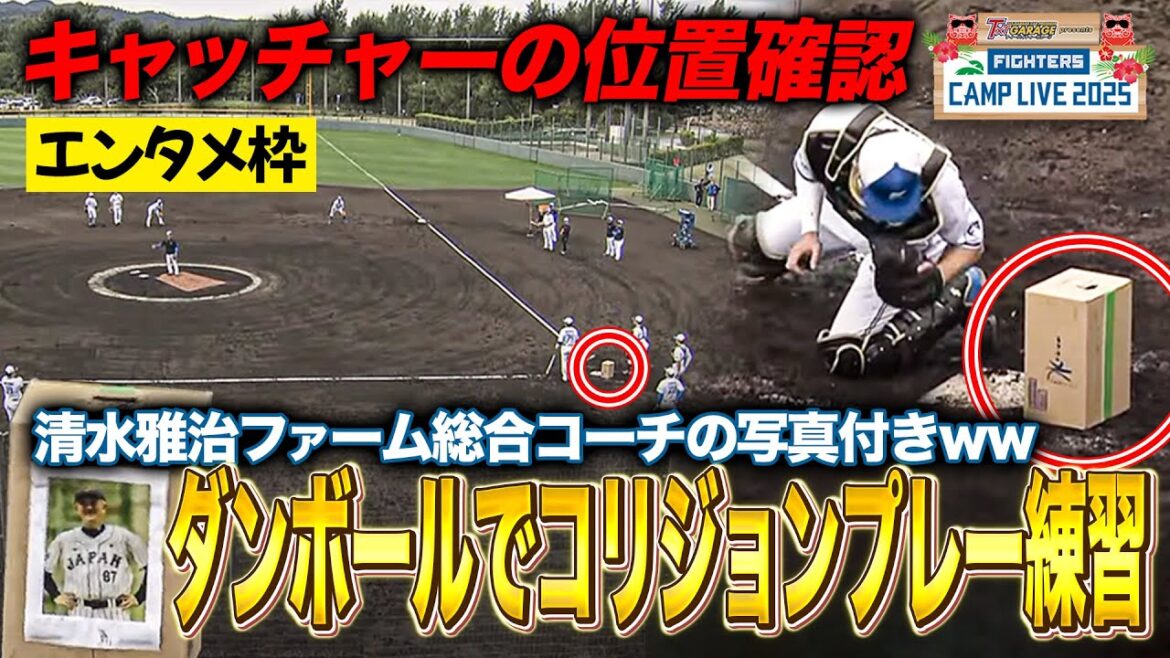 国頭キャンプでダンボールを使ったコリジョンプレー練習 ダンボールにはコーチの写真がw＜2/11ファイターズ春季キャンプ2025＞