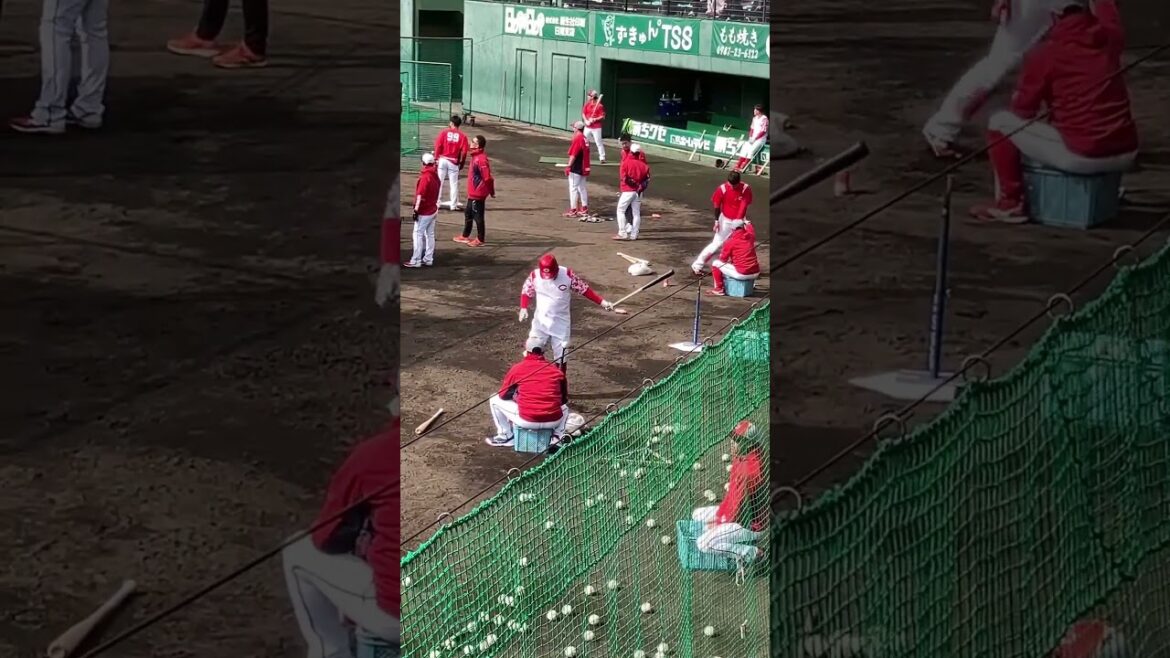 山足選手のトスバッティング 背番号69#山足達也#山足#カープ #キャンプ #日南キャンプ