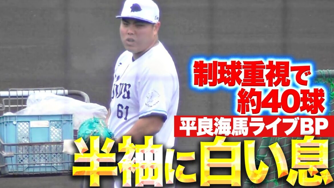 【半袖・白い息】平良海馬『寒さにも負けず…制球重視で約40球を投げ込む』