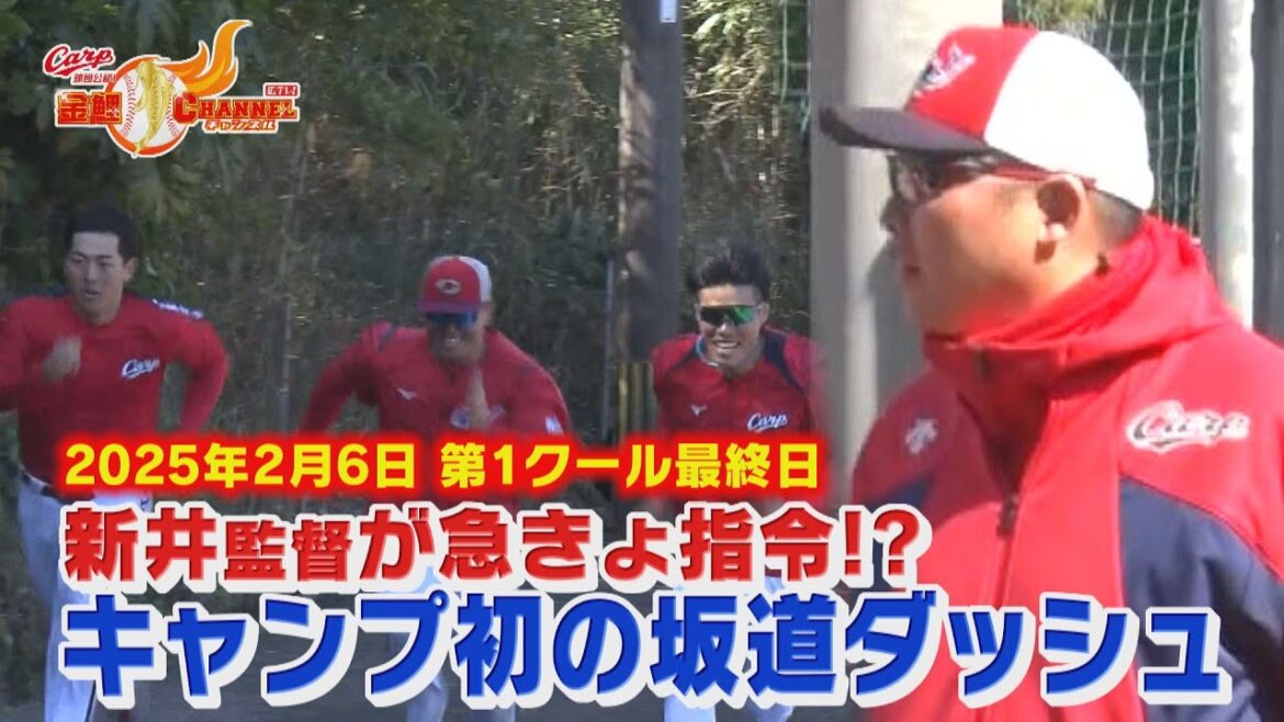 【日南キャンプ第１Ｃ最終日】予定になかった坂道ダッシュに選手も苦笑い【カープ公認】金鯉チャンネル /広テレ！