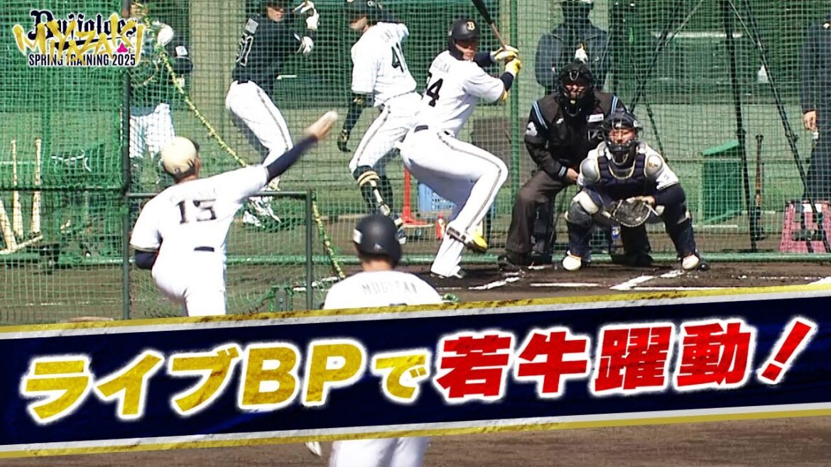 【BsキャンプTV】ライブBPで若牛躍動！
