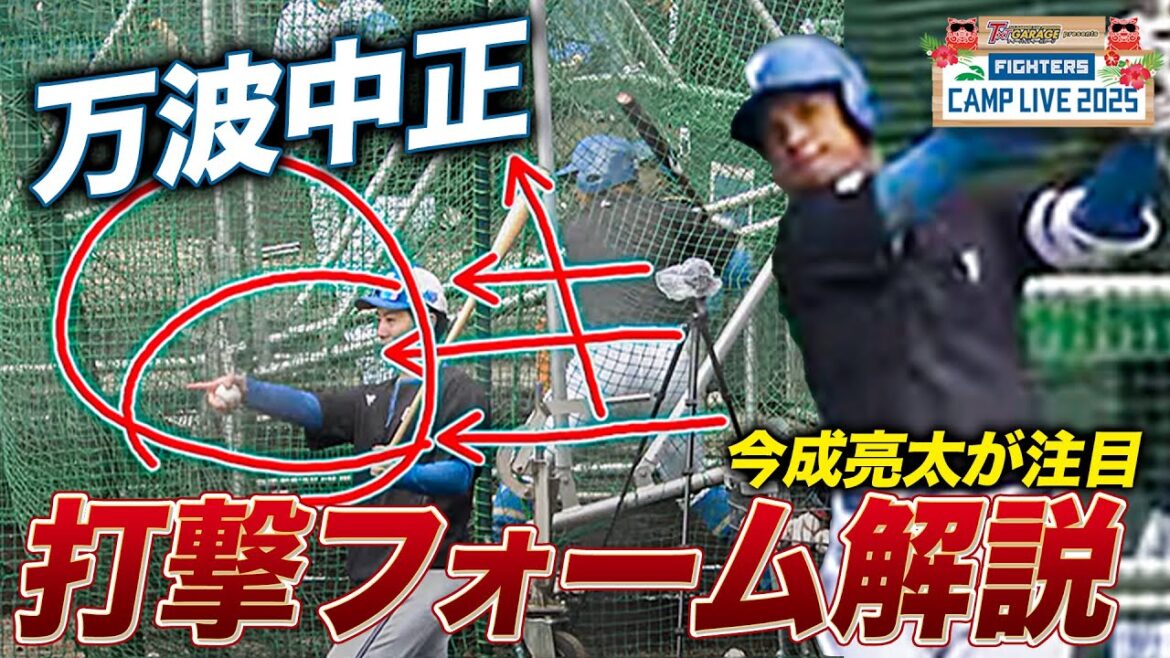 【今成解説】万波中正の打撃フォーム解説＜2/8ファイターズ春季キャンプ2025＞