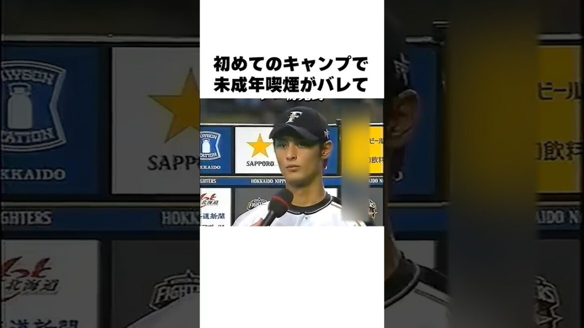 「牽制の指示をするな」ダルビッシュ有と鶴岡慎也についての雑学#野球#野球解説#野球雑学雑学