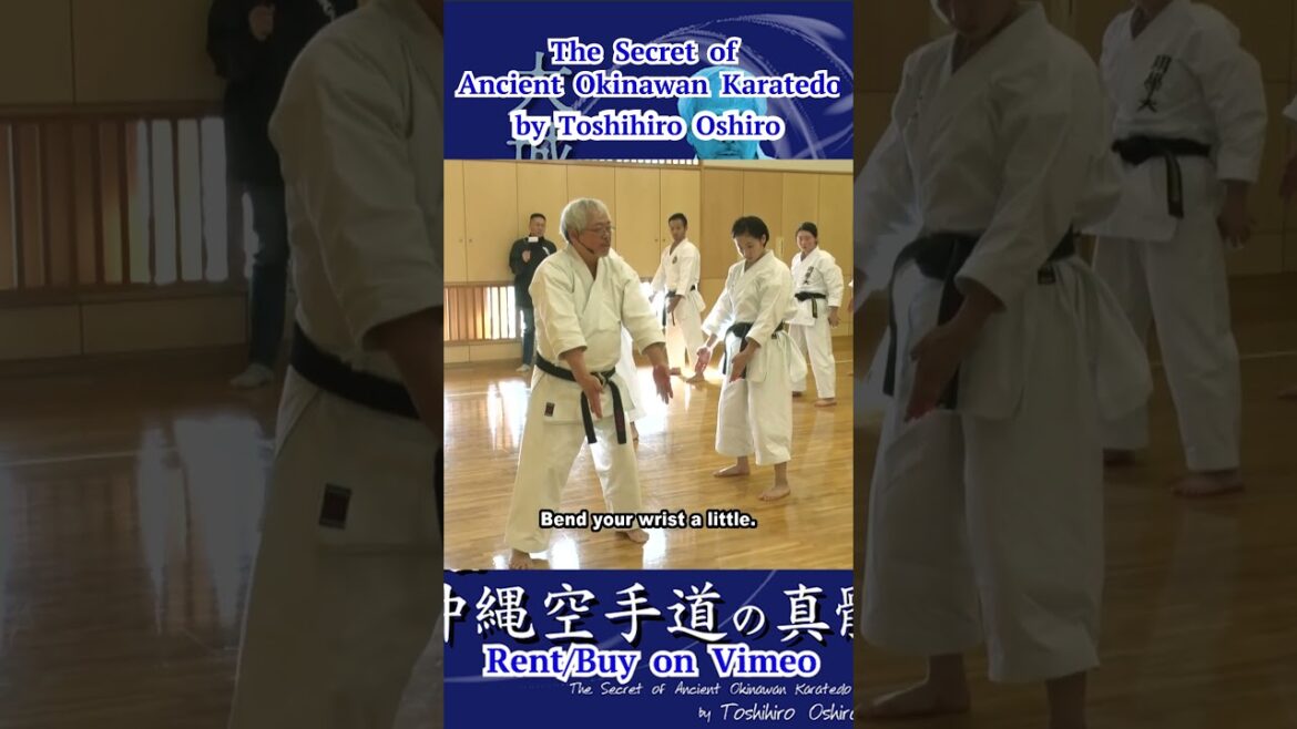 #Rohai Explanations #ローハイ #演武の解説 The Secret of Ancient Okinawan Karatedo #short #karate #kata #Rohai Explanations #ローハイ #演武の解説 The Secret of Ancient Okinawan Karatedo #short #karate #kata