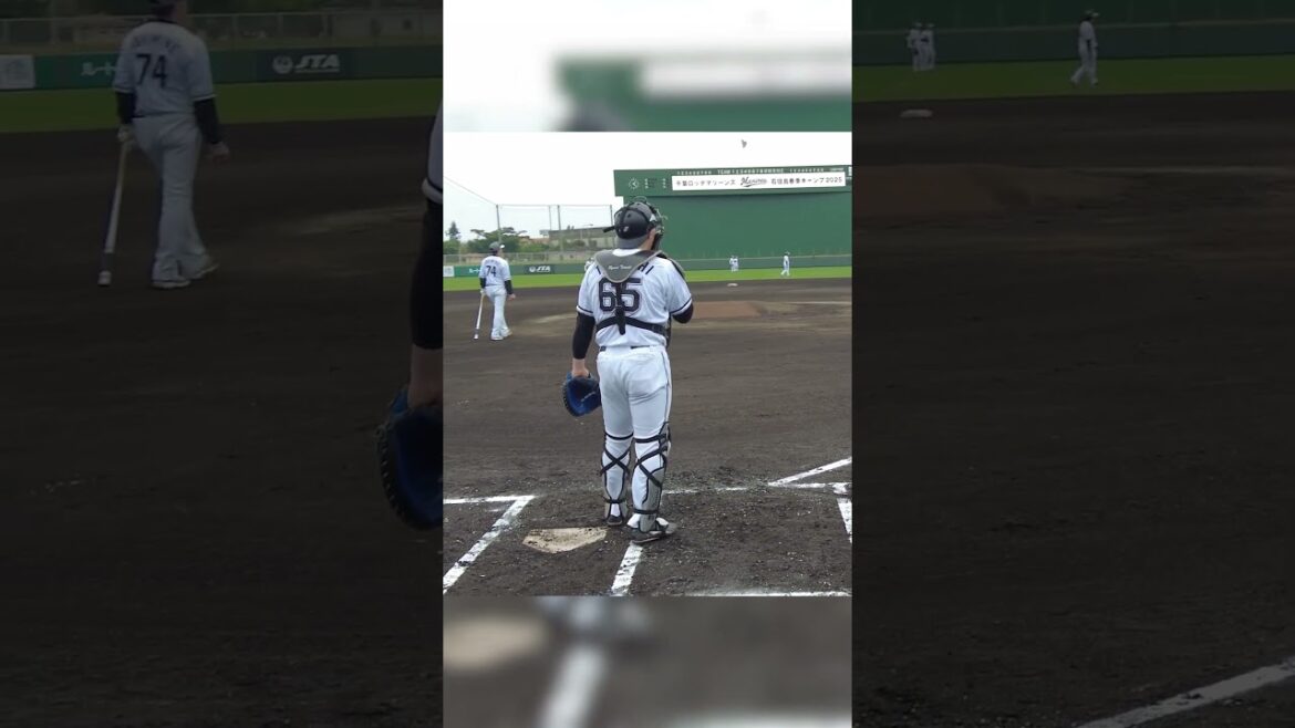 寺地隆成捕手のライン指示 #chibalotte