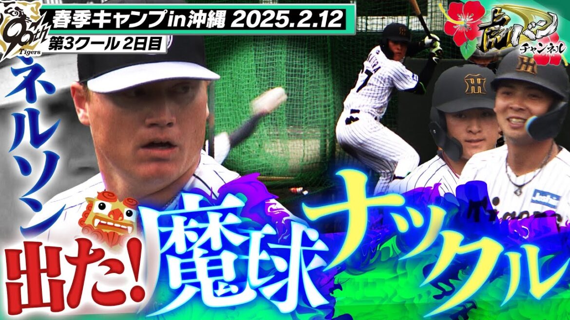 【魔球ナックル登場】ナックルボーラーの新助っ人 ネルソンが実戦練習に初登板！見たことない魔球に虎戦士たちも驚愕！？阪神タイガース密着！応援番組「虎バン」ABCテレビ公式チャンネル
