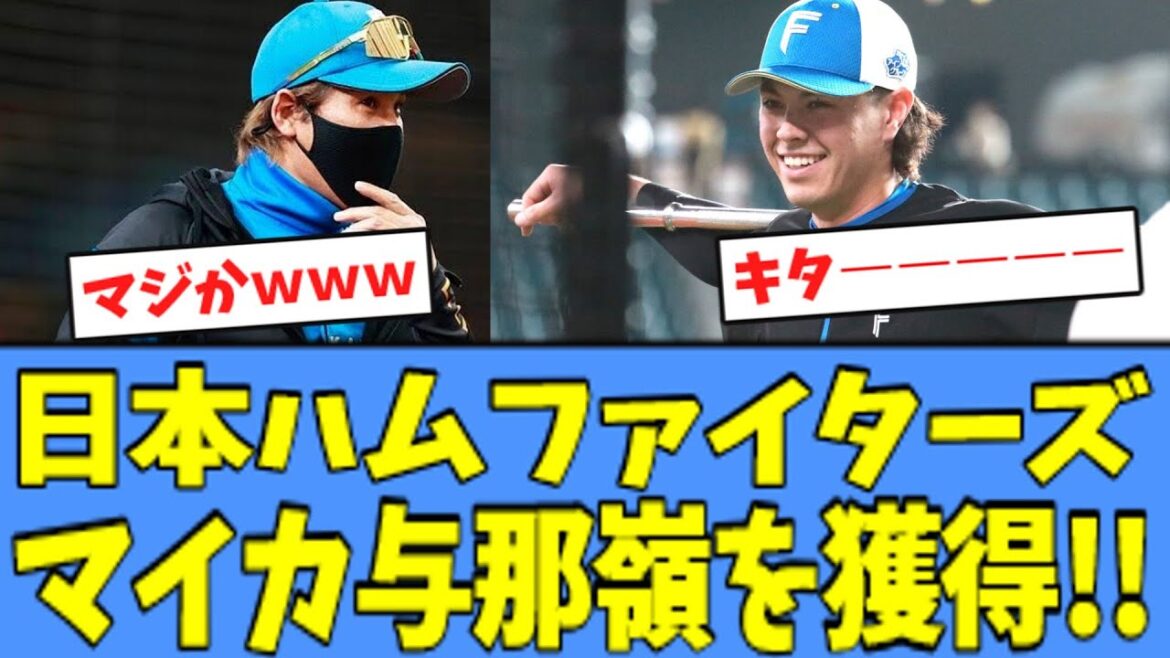 【キターー!!】日本ハム、あの"期待の長距離砲"を獲得してしまうｗｗｗ
