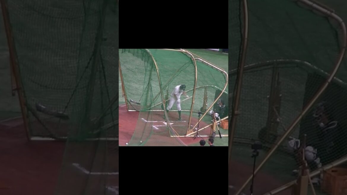 【フリーバッティング】ロッテ 安田尚憲のスイング（2024年6月6日 読売ジャイアンツ対 千葉ロッテマリーンズ）