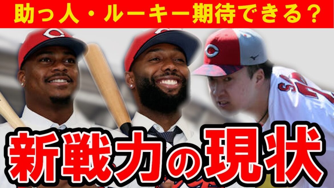 【カープ】新助っ人・ルーキーの現状は？期待ポイントと今後の注目ポイント【広島東洋カープ】