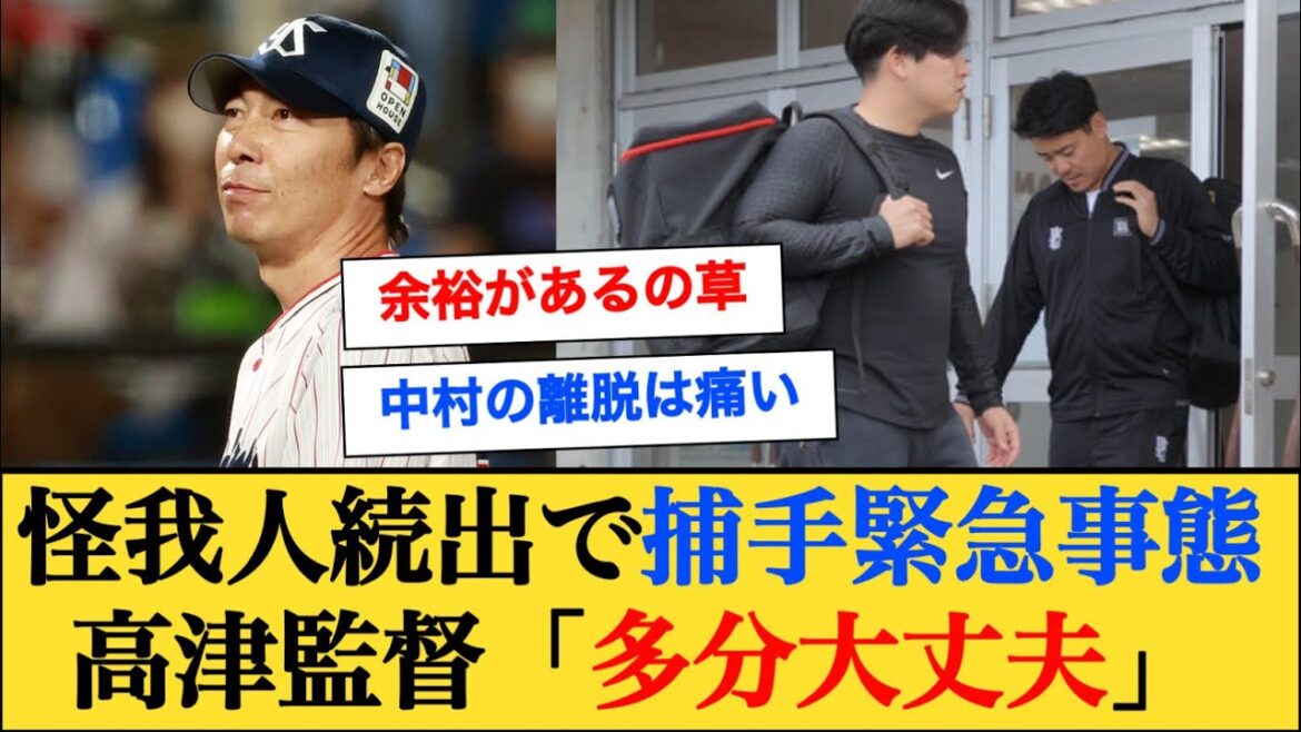 ヤクルト、中村悠平捕手と矢野泰二郎捕手が下半身のコンディション不良