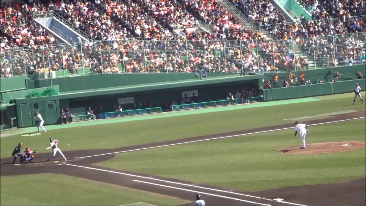 横川凱 vs J.ティマ → 増田陸 → M.フルプ → 山瀬慎之助（巨人紅白戦・2回表 / 2025.02.11）