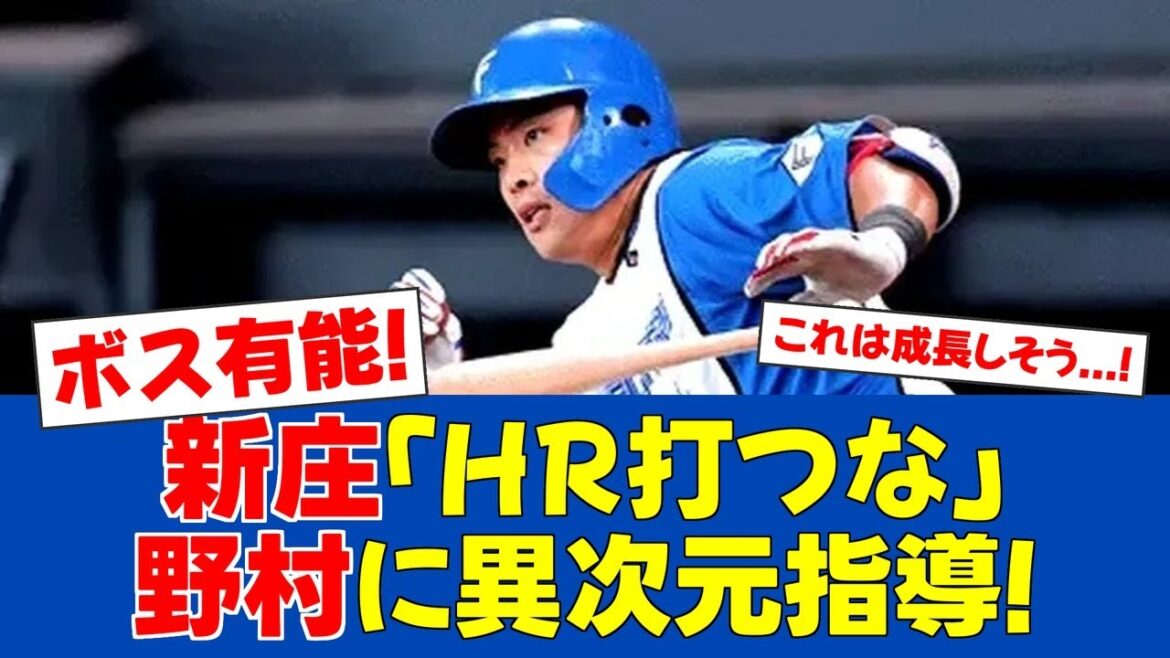 【春季キャンプ】新庄監督、開幕4番野村に衝撃指示【日ハムファンの反応】【F速報】