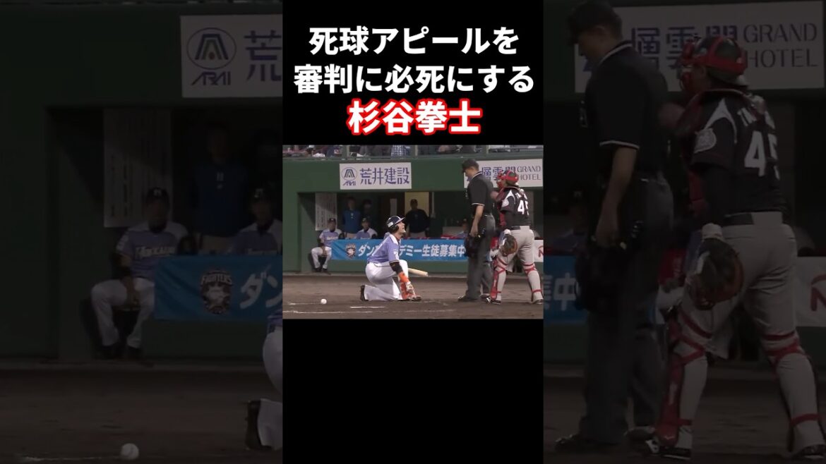 死球をアピールするも審判に受け入れてもらえない杉谷 #プロ野球