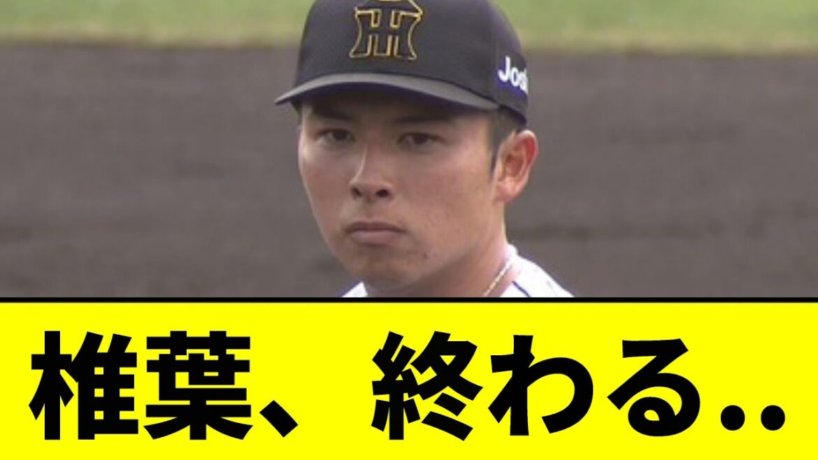 【阪神】椎葉、終わる..【2chスレ】