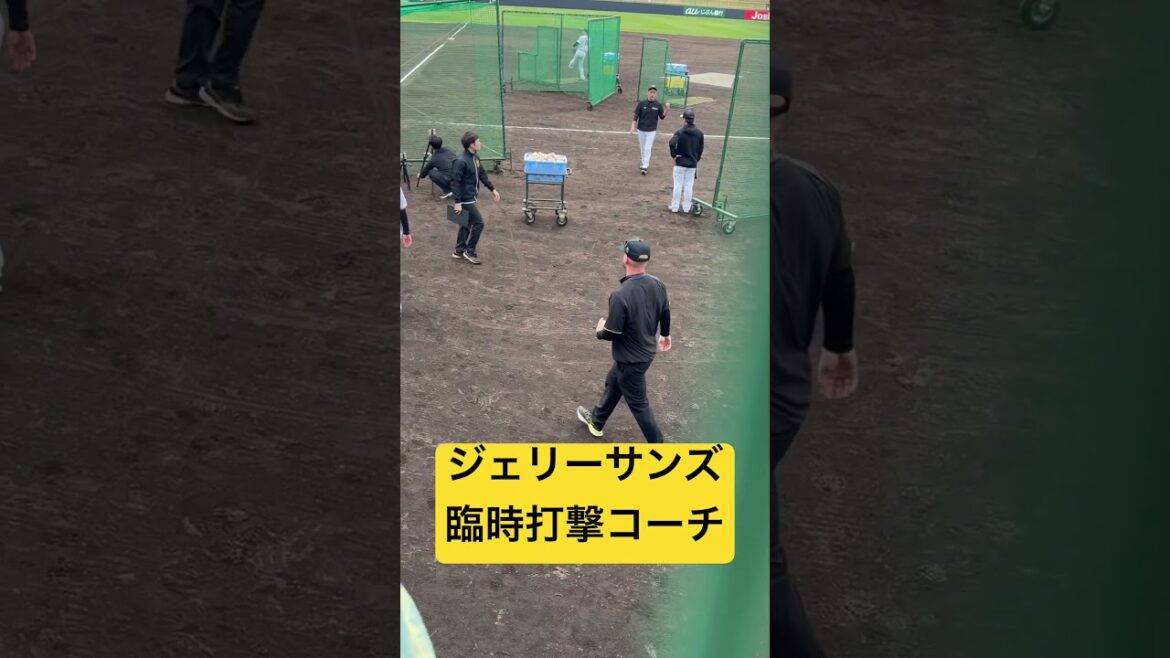 ジェリーサンズ臨時打撃コーチ　阪神タイガース沖縄キャンプ2025 #阪神タイガース #阪神 #野球 #プロ野球　#ジェリーサン#サンズ　#