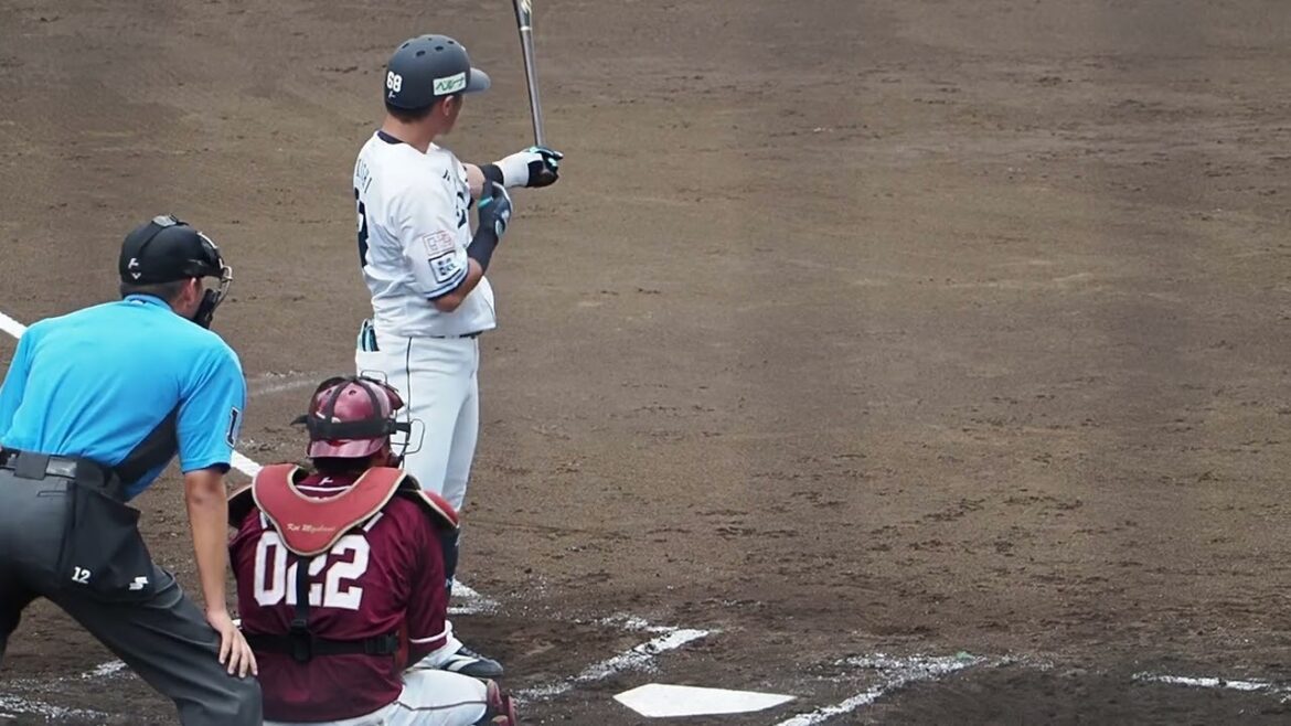 2024.09.08 埼玉西武-東北楽天 #岸潤一郎 打席シーン (カーミニーク)