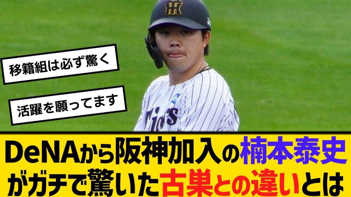 DeNAから阪神加入の楠本泰史が、ガチで驚いた古巣との違いとは　【ネットの反応】【反応集】